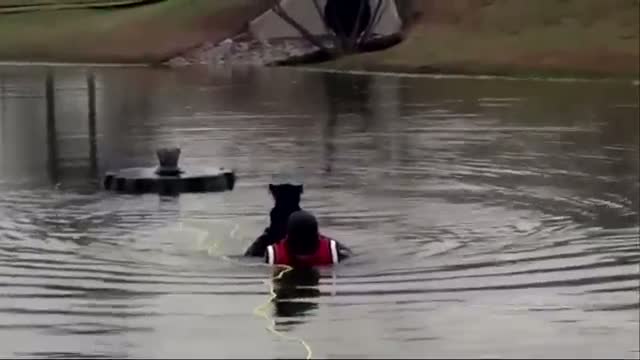 Watch Firefighters Rescue Dog From Pond  Video