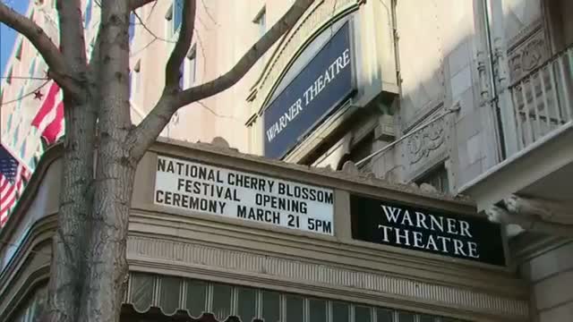 Watch National Cherry Blossom Festival Begins in DC  Video