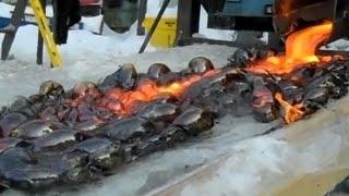 Watch What Happens When Lava Meets Ice? Video