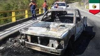 Watch Ambushed: 15 police officers killed in suspected gang attack in Mexico, 5 others injured Video