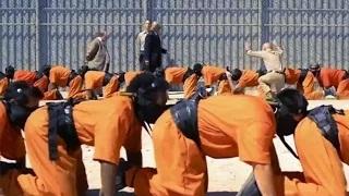 Watch THE HUMAN CENTIPEDE 3 Trailer (2015) Video