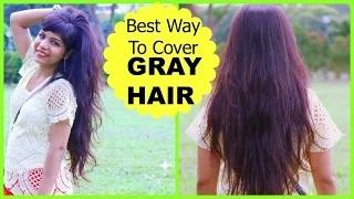 Watch Best Way To Cover GRAY HAIR, How to Mix Henna Mehendi for Dark Hair Color Dye Video
