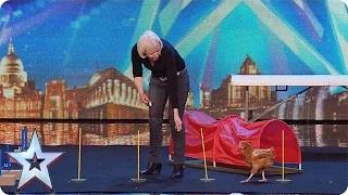 Watch Britain's Got Talent 2015 - Marion and her chicken tackle an agility course | Audition Week 1 Video