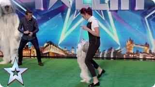 Watch Britain's Got Talent 2015 - David Vs Ashley and Pudsey: let's dance! Video