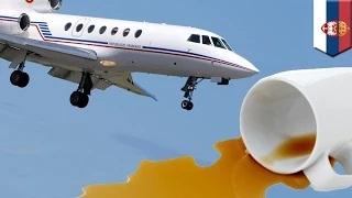 Watch Serbian presidentÃ¢â‚¬â„¢s plane plunges over 1,000m after careless co-pilotÃ¢â‚¬â„¢s coffee spill Video