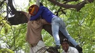 Watch Farmer From Rajasthan Hangs Himself at AAP Rally Video