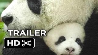 Watch Born in China Official Trailer #1 (2016) - Disneynature Movie HD Video
