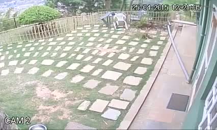 Watch CCTV Catches Violence of Nepalese Earthquake Part 2 Video