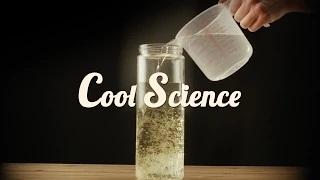 Watch Cool Science! AMAZING Video