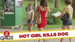 Watch $exy Girl Impale Dog PRANK Video