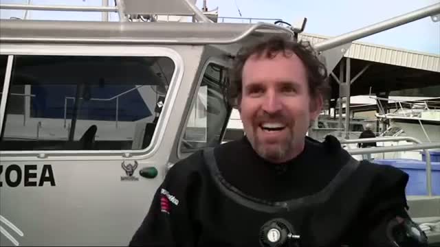 Watch Searching for Young Sea Stars After Mass Die-off  Video