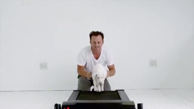 Watch The Pegasus Project Video