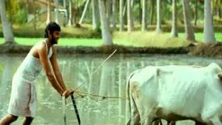 Watch En Nenje (Official Tamil Video Song) - Vamsam Video