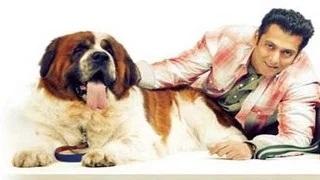 Watch Salman Khan's pet 'SAINT' passes away, buries his dog at his farmhouse Video