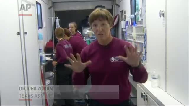 Watch Emergency Vets Come to Search Dogs' Rescue Video