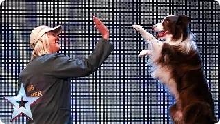 Watch Catch Jules and Matisse the dog in action | Britain's Got Talent 2015 Video