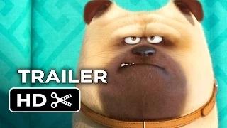 Watch The Secret Life of Pets Official Teaser Trailer #1 (2016) - Jenny Slate, Kevin Hart Movie HD Video