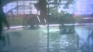 Watch Oru Poonga Vanam - Romantic Song - Karthik, Nirosha - Ilaiyaraja Hits - Agni Natchathiram Video