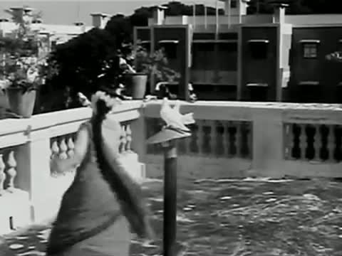Watch Bak Bak Bakkum Madapura (Tamil Classic Melodious Song) - Bhanimathi,SV Rao,Sachu - Annai Video