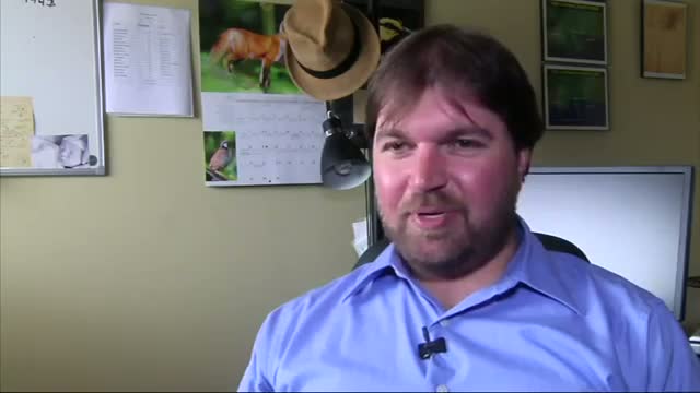 Watch Reaction to $18.7 Billion BP Settlement Video