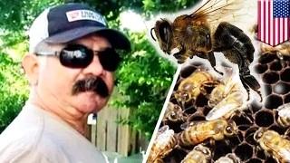 Watch Killer bees kill man in Texas after he accidentally runs over colony with tractor Video