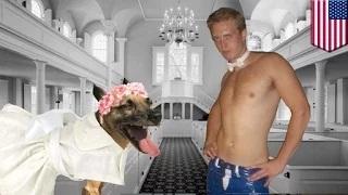 Watch 'Dog marriage' joke on Facebook gets dude fired for belittling marriage equality Video