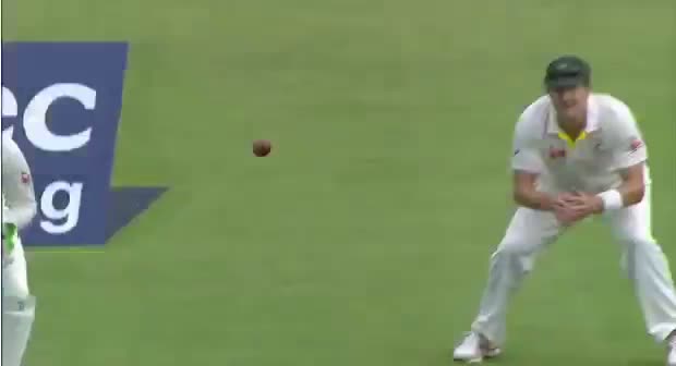Watch Mitchell Starc Gets Moeen Ali Wicket - England vs Australia 1st Investec Test Ashes 2015 Day 2 Video