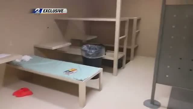 Watch Video Released From Jail In Sandra Bland Case Video