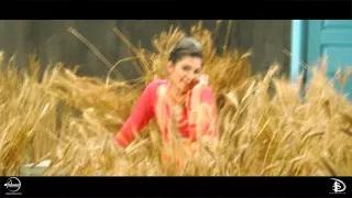 Watch Behind the Scene of phulkari (Desi Robinhood) | Kaur B | Video
