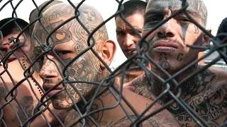 Watch Top 10 Most Dangerous Gangs Video