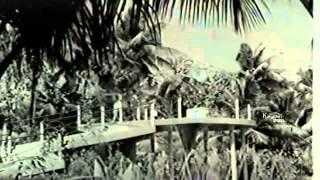 Watch Tamil Classic Song | Chitti Sollu | Jaishankar, Muthuraman, Lakshmi | Kannimuthu Paapa Video