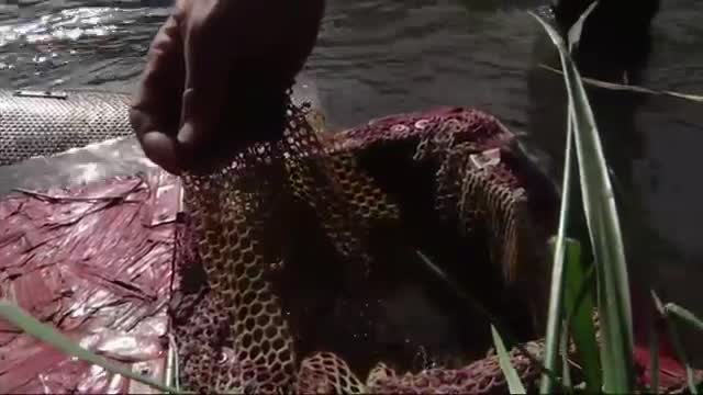 Watch Colo. Officials Visit Contaminated River Video