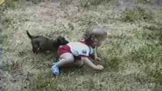 Watch Dog Bites Baby's Pants and Hangs On for Dear Life Video