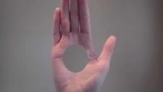 Watch 10 Amazing Science Experiments you can do At home Video