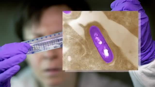 Watch CDC Ramping Up High-Tech Food Safety Testing Video