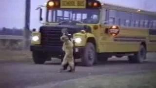 Watch Dogs Who Don't Want Their Kid to Go Back to School Video