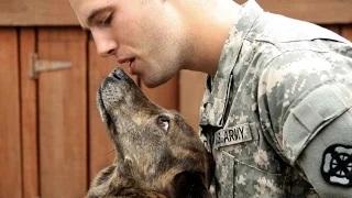 Watch Dogs Welcoming Soldiers Home Compilation Video