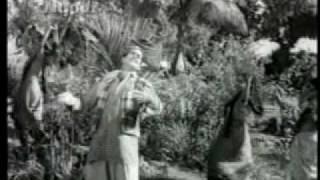 Watch Nakli Nawab (1962)-Phoolon se Rangeen Yeh Zameen Hai (Mukesh) Video