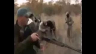 Watch Lion attacks hunter in africa animals attacking humans compilation Video