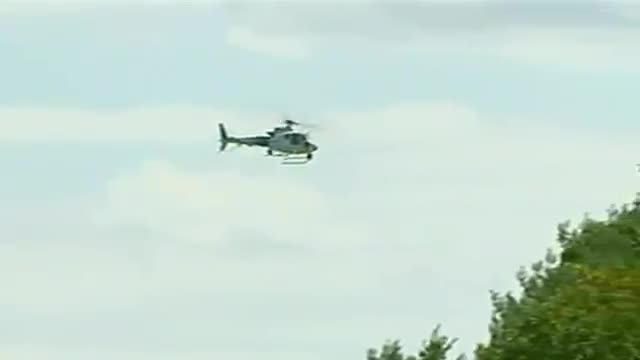 Watch Shooting Suspect Surrounded by Police Video