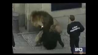 Watch Animals attacking people When animals attack Compilation animals attack humans Video