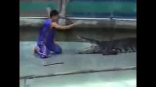 Watch Crocodile attacks human crocodile attacks man animals attack humans Video