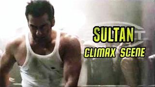 Watch Salman Khan's Sultan Climax LEAKED Video