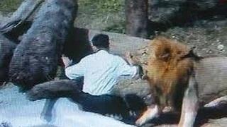 Watch Animals Attacks: Humans animals attacking people deadly animal attacks compilation Video