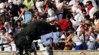 Watch Bull Attacks People Bull Jumps Into Crowd Bull Riding Accidents Video