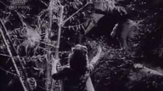 Watch Dekho Kasam se Kasam || Tumsa Nahin Dekha (1957) || Mohd. Rafi & Asha Bhonsle || {Old Is Gold} Video