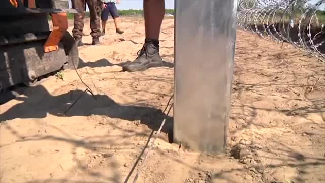Watch Hungarian Border Fence Erected for Migrants Video