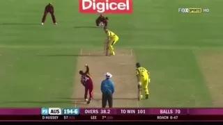 Watch Dangerous Fast Bowling Compilation Video
