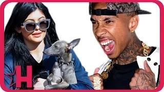 Watch Kylie Jenner Threatens to Leave Tyga Over Dog Video