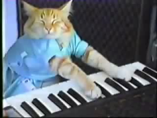Watch Keyboard Cat! - THE ORIGINAL! Video
